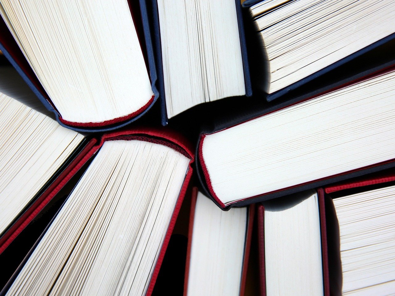 Koleksi Buku Fisik Perpustakaan Kota Pontianak: Menelusuri Kekayaan Literatur Lokal